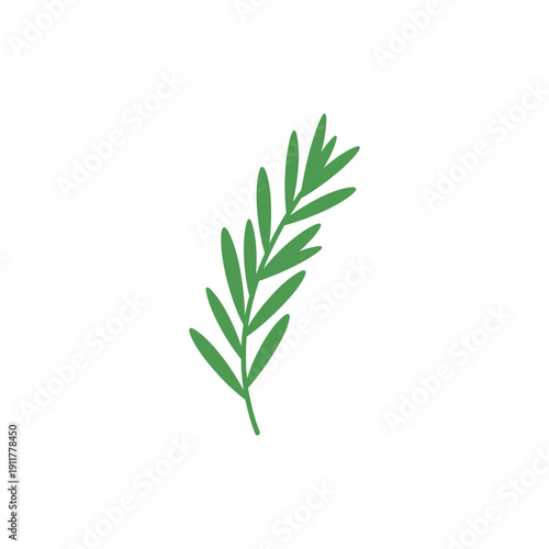Tarragon Sprig with Clear Flat Layers Herbal Botanical Vector Illustration Design