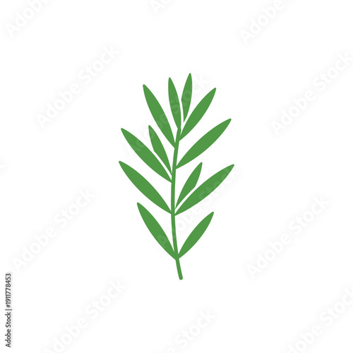 Tarragon Sprig with Graphic Flat Look Botanical Herb Illustration Fresh Green Foliage