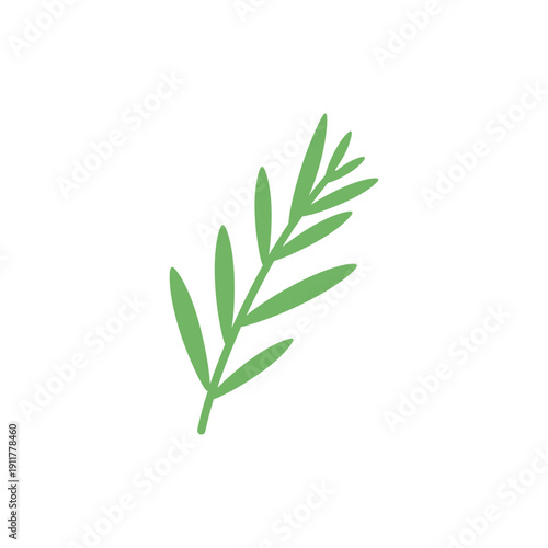 Tarragon Sprig with Flat Pastel Greens Herbal Vector Botanical Illustration Art