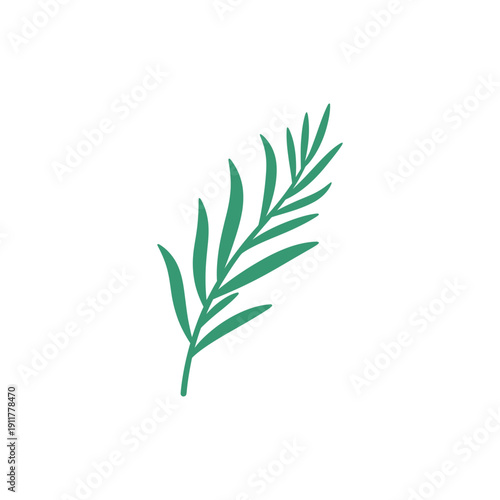 Tarragon Sprig with Long Flowing Leaves Botanical Herb Illustration Fresh Green Foliage