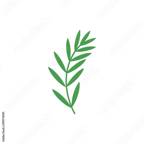Tarragon Sprig with Rhythmic Leaf Pattern Botanical Herb Illustration Green Foliage Design