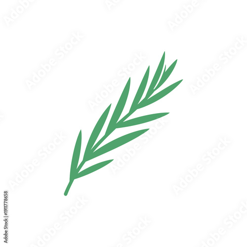 Tarragon Herb Angled Upward Sharp Leaf Tips Detailed Botanical Vector Illustration