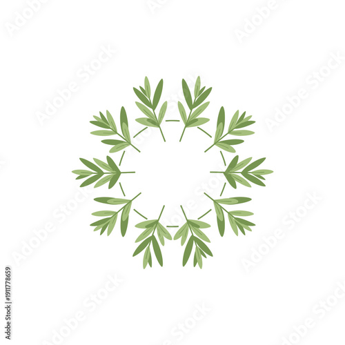 Tarragon Herb Arranged in Circle Balanced Design Botanical Vector Illustration