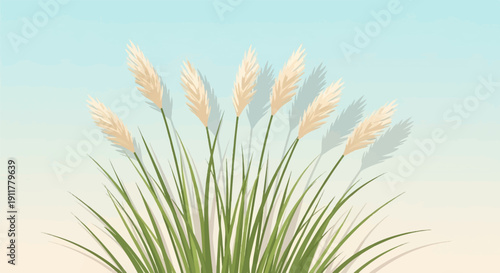 Soft beige plumes of pampas grass sway gently against a pale blue sky and soft sandy ground