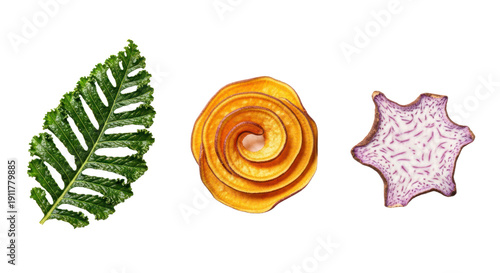 Close-up of exotic tropical leaf, orange rose flower, and decorative pink star-shaped item isolated on white background, perfect for botanical and floral design projects