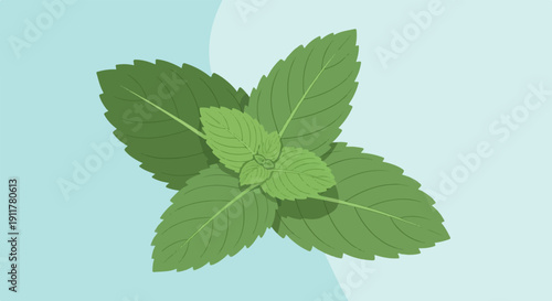 Simple green mint leaves illustration with subtle shading on pale blue