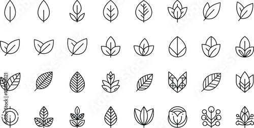 Leaf and nature icons set, botanical symbols collection, eco friendly plant designs, minimal line vector illustration for organic branding, environment, wellness, sustainability projects