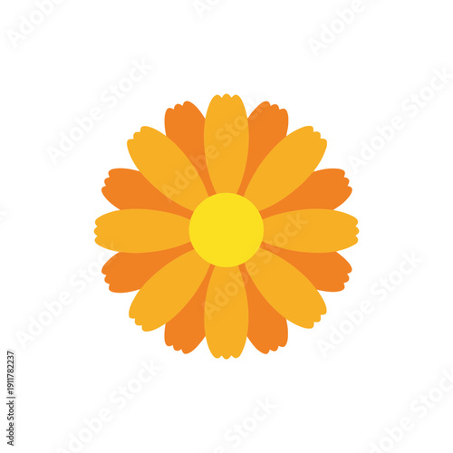 Calendula Flower with Bright Flat Petals Vibrant Garden Bloom Botanical Floral Illustration