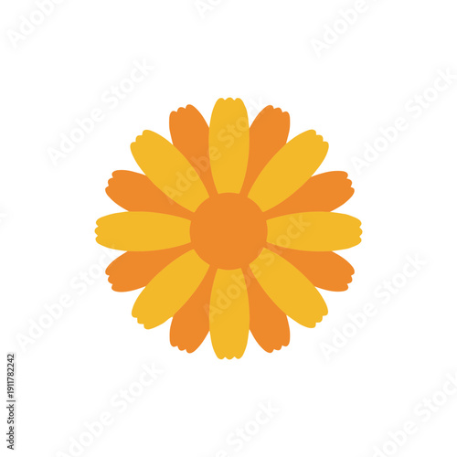 Calendula Flower with Bold Simple Center Flat Vector Bloom Botanical Garden Illustration