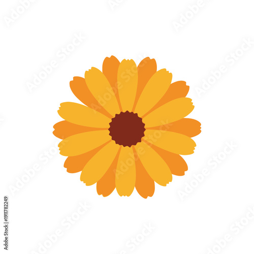 Calendula Flower Minimal Clean Design Bright Botanical Floral Vector Icon Illustration