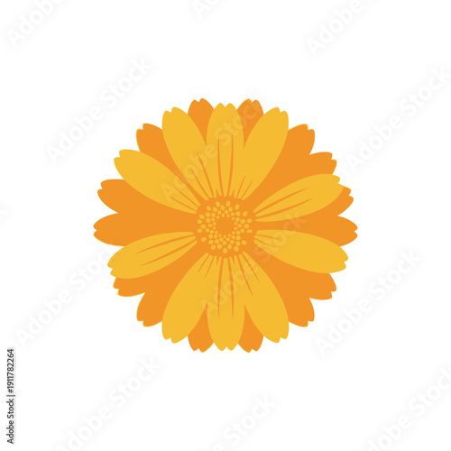 Calendula Flower Centered Composition Flat Vector Bloom Botanical Garden Floral Illustration