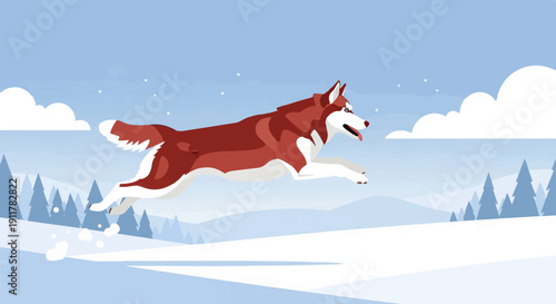 Red and white husky dog leaping through a snowy winter landscape with pine trees