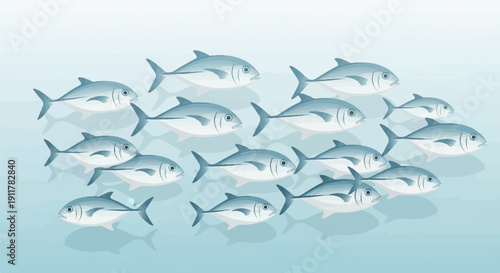 School of silver fish swimming in light blue water