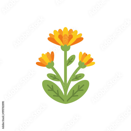 Calendula Plant with Tidy Flat Composition Bright Botanical Floral Garden Vector Illustration