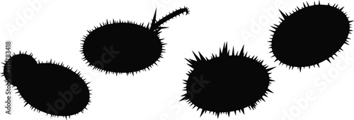 Four black microorganism silhouettes with spiky edges and flagella-like extensions, isolated on white background, perfect for microbiology, health, science, educational, and design projects.