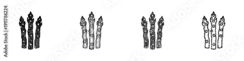 Sketch asparagus icon design set