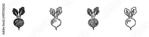 Sketch radish icon design set