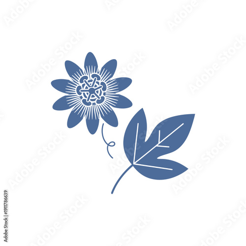 Passionflower with Single Leaf Diagonal Arrangement, Tropical Botanical Bloom Vector Illustration