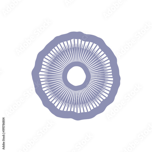 Billede på lærred Passionflower Corona Filament Cross-Section with Rounded Shape, Flat 2D Vector B