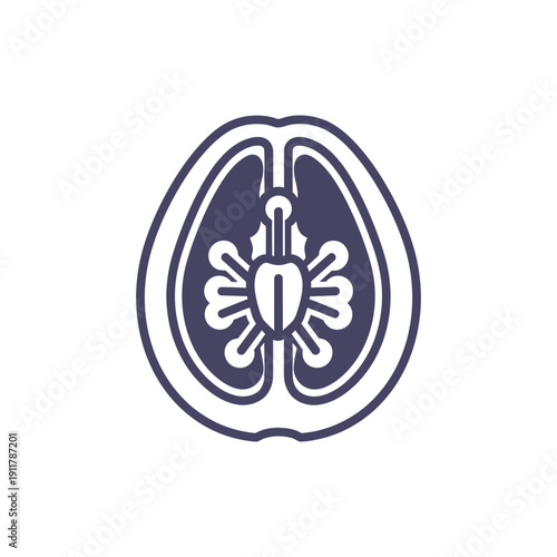 Passionflower Ovary Cross-Section Vector Icon Ovules Visible Internal Structure
