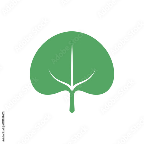 Passionflower Stipule Leafy Appendage Detailed Botanical Vector Flower Illustration