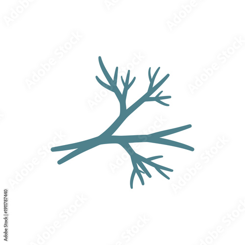 Passionflower Tendril with Branching Split Ends Detailed Bifurcation Botanical Vector