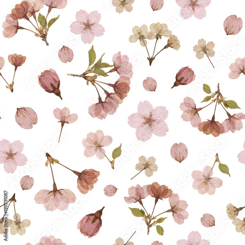 PNG cherry blossom seamless pattern, dried sakura flowers on transparent background, botanical repeat