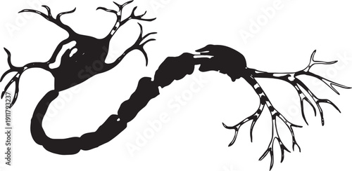 A stylized illustration that illustrates the communication between two neurons