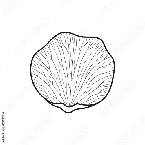 Rose Petal with Delicate Veins Vector Illustration, Floral 2D Flat Design, Romantic Flower Art