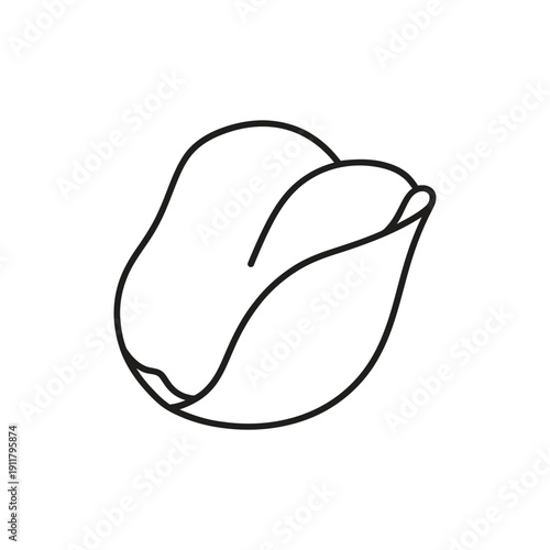 Thin Rose Petal Vector Flat 2D Floral Illustration Elegant Decorative Digital Art