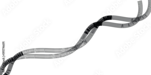 web line patten snake on a white background