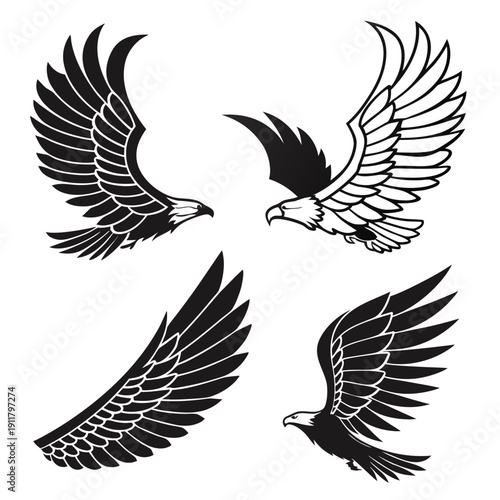 Black and white eagle silhouettes in different flying positions Vector