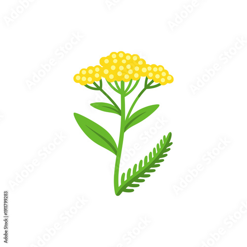 Yarrow Tutti Frutti Yellow Flowers with Lemon Highlights and Bright Green Leaves Flat Vector