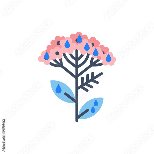 Yarrow Flower with Raindrops on Petals and Leaves Vector Illustration for Nature
