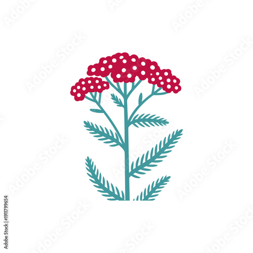 Yarrow with Bold Deep Red Flowers and Blue-Green Leaves, Minimalist Botanical Vector