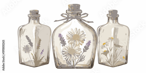 Three vintage glass bottles containing pressed flowers and foliage