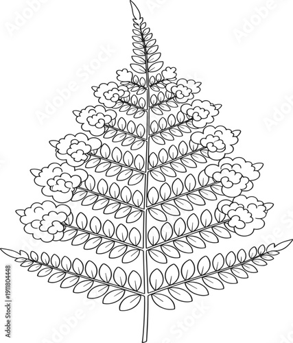Botanical fern leaf illustration, black and white nature drawing, symmetrical foliage design, artistic plant sketch, vintage botanical artwork, isolated graphic