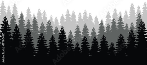 Seamless vector landscape of misty pine forest with layers of trees in black and white for nature background design