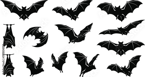 Set of spooky black bat silhouettes with wing details, flying and hanging upside down, isolated on white background for halloween design