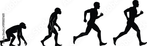 Human evolution silhouettes sequence, ape to modern man transformation concept running stages black vector illustration isolated on white background