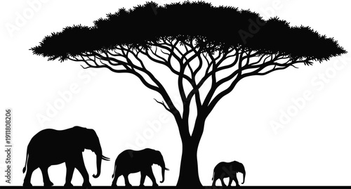African elephants family silhouette walking under acacia tree in savanna landscape, wildlife nature illustration, safari animals vector art for conservation and travel theme