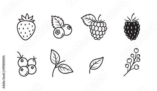 Berry Icons: Strawberry, Blueberry, Raspberry, Currant, Leaves - Line Art