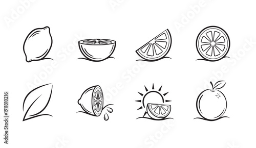 Citrus Fruit Icons Collection: Lemons, Oranges, Slices, Leaf, Sun - Line Art