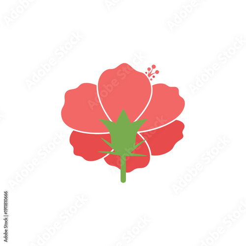 Hibiscus Flower Rear View with Green Calyx, Flat Tropical Botanical Vector Illustration