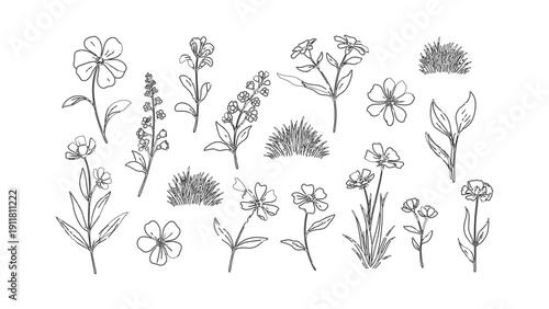 A charming collection of hand-drawn botanical sketches featuring various wildflowers, delicate leaves, and fresh grass clumps, perfect for natural-themed designs and spring illustrations