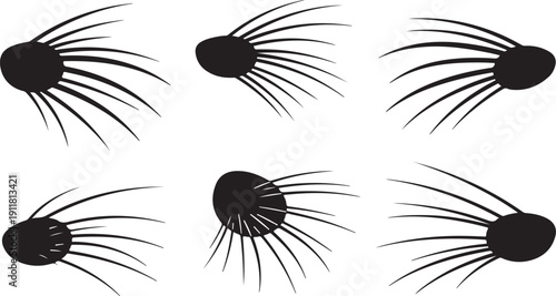 Collection of black eyelashes in different directions and styles