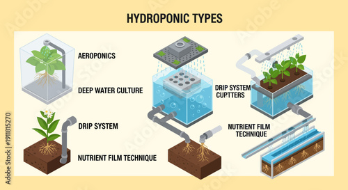Hydroponic Systems for Soilless Plant Cultivation.