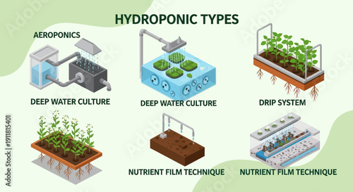 Types of Hydroponic Systems for Plants.