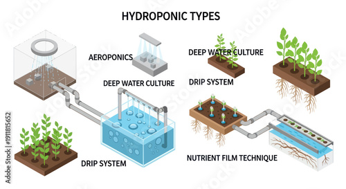 Hydroponic Systems for Plant Cultivation Methods.