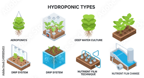 Hydroponic Systems for Soilless Plant Cultivation Methods.